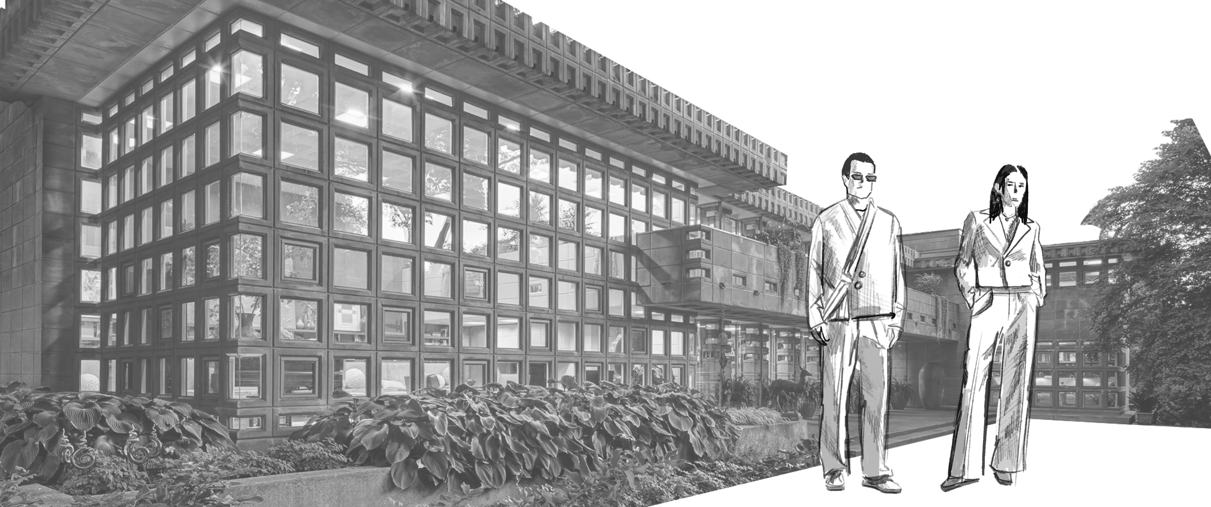 Who illustration
